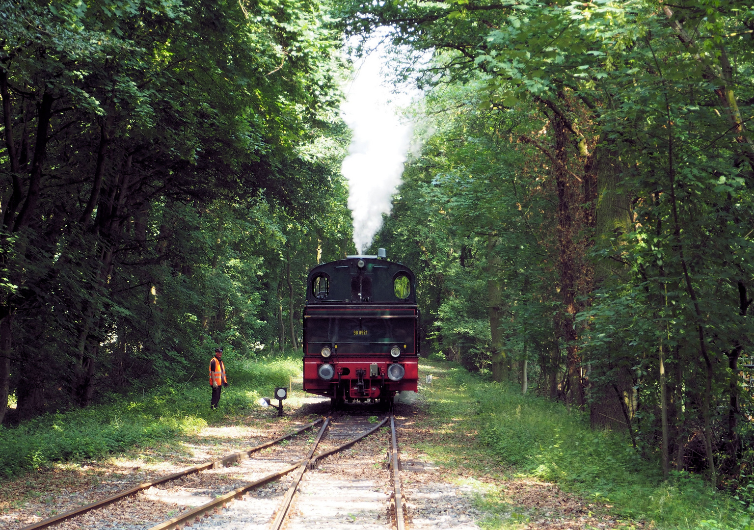 Der Krefelder Schluff im Wald ...