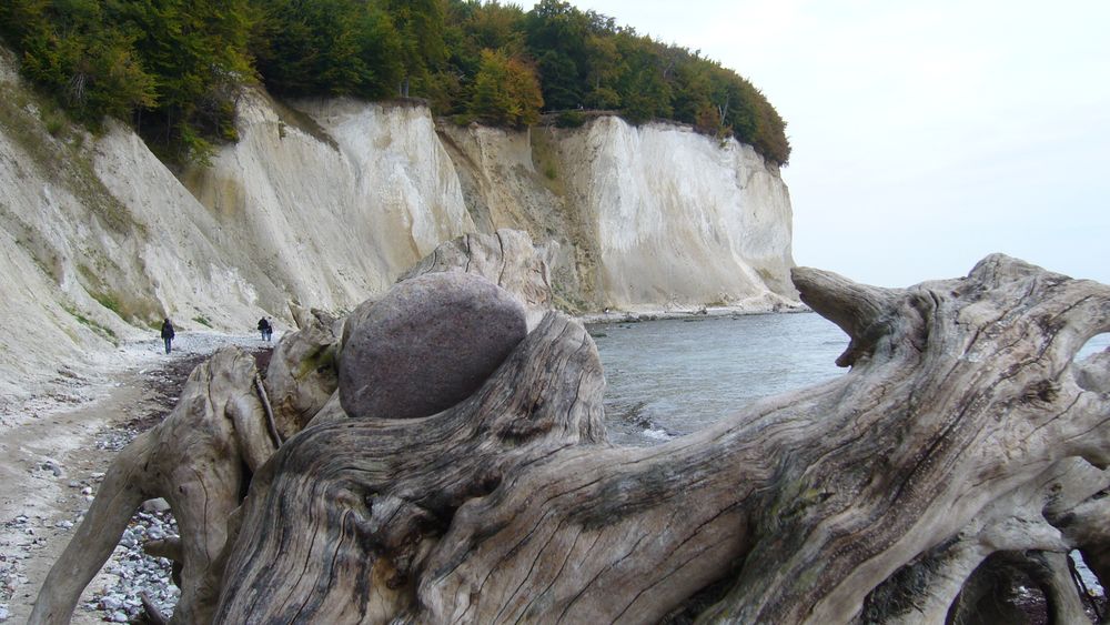 Der Kreidefelsen auf Rügen