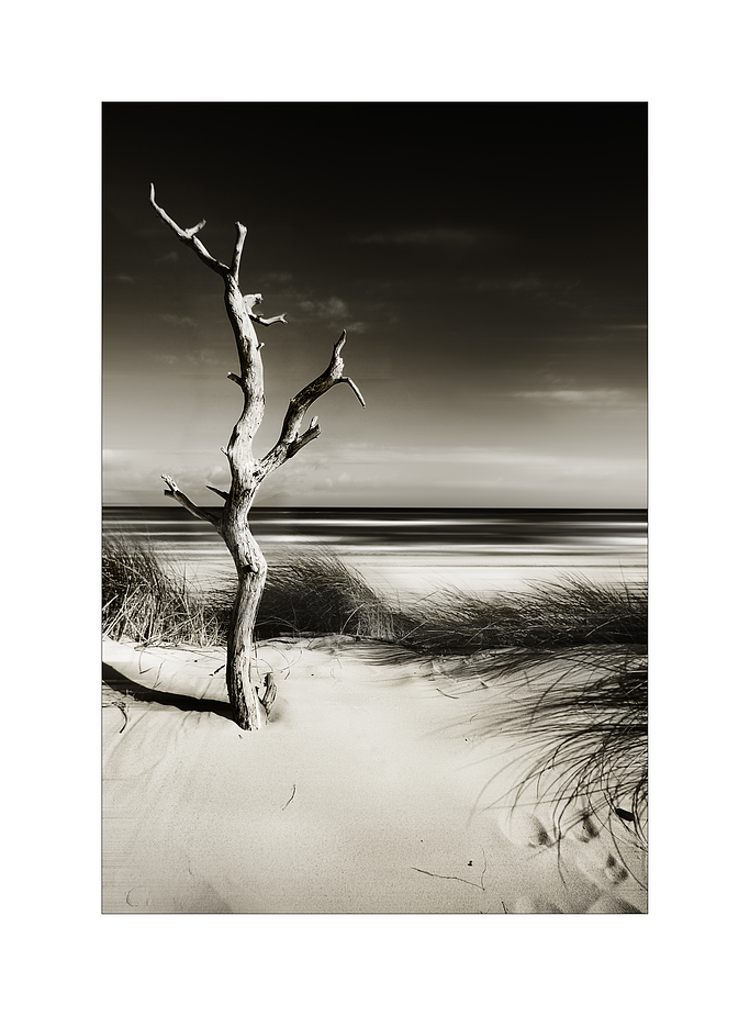 Der Kreislauf des Lebens Foto & Bild landschaft, meer & strand, dünen