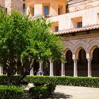 Der Kreuzgang des Doms von Monreale mit Granatapfelbaum