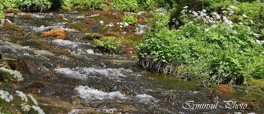 Der Kreuzteich hat mehr als ein Dutzend Zuflüsse