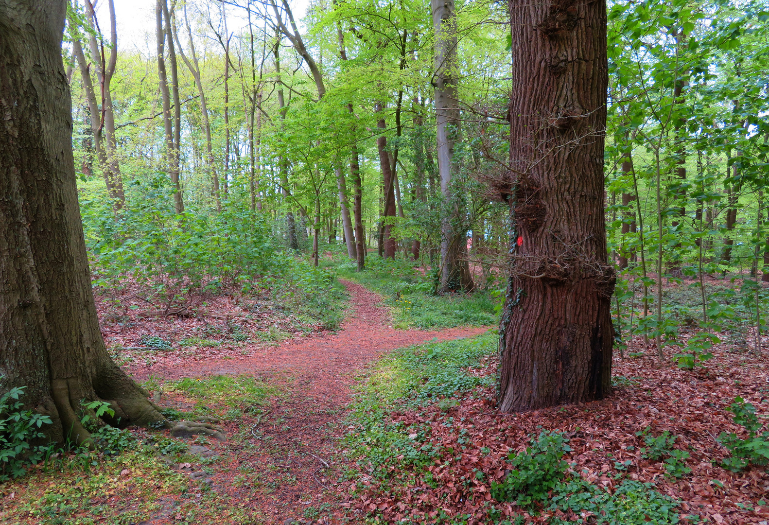 der Kreuzweg ... 