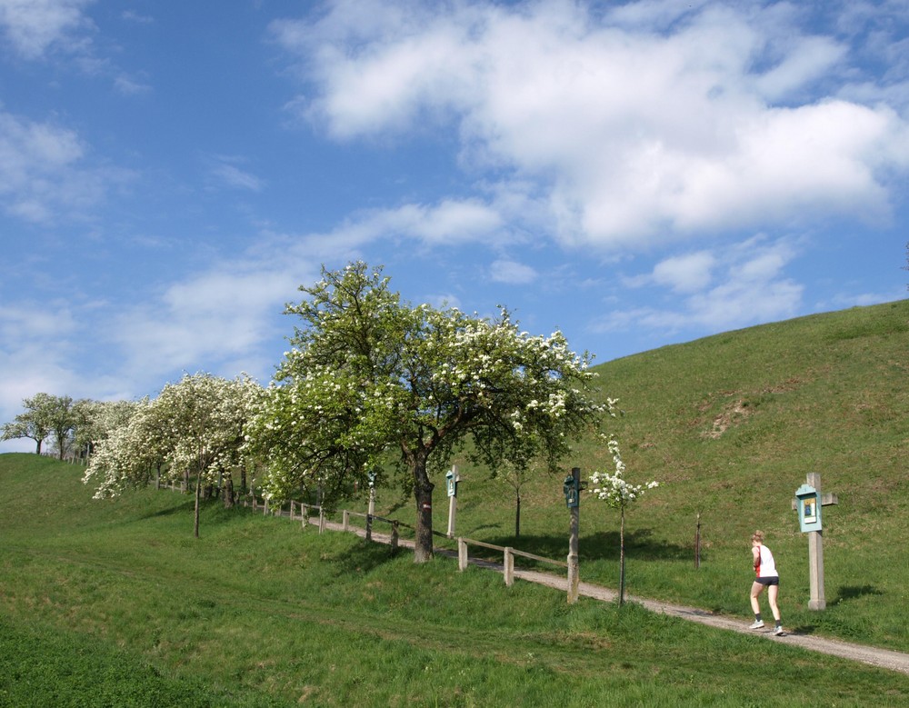 Der Kreuzweg