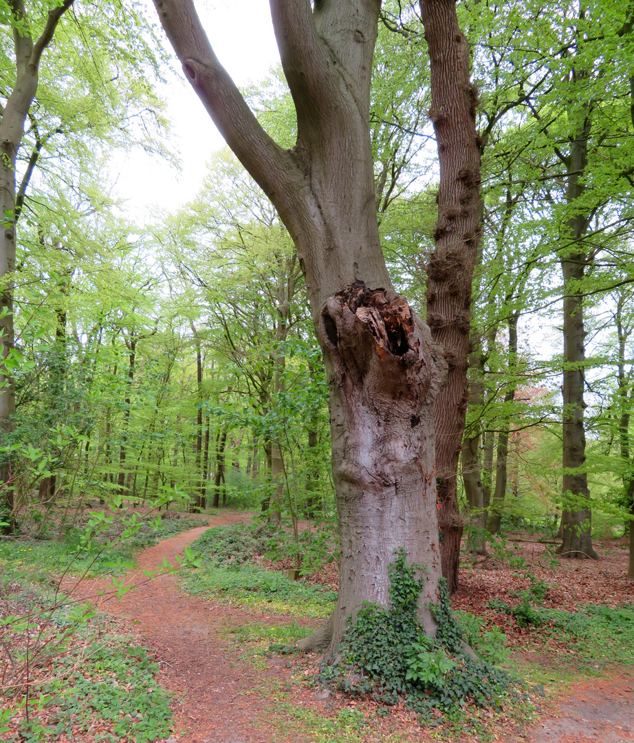 der Kreuzweg aus einer anderen Sicht ...