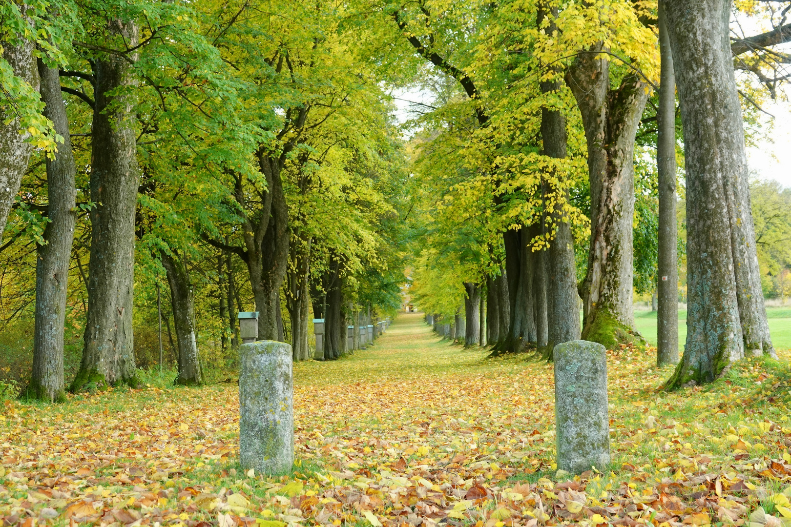 Der Kreuzweg im Herbst ...