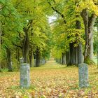 Der Kreuzweg im Herbst ...