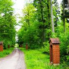 Der Kreuzweg zur Waldkapelle Käppele