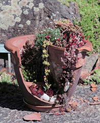 Der Krug geht solange zum Brunnen bis er bricht