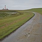 Der krumme Weg führt geradewegs zum Ziel...