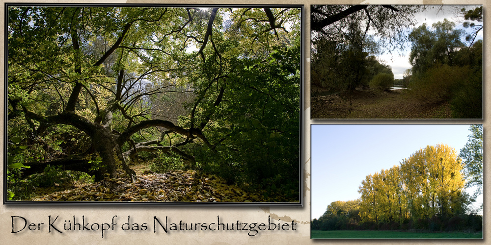 Der Kühkopf das Naturschutzgebiet