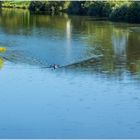 Der Kühle nahe sein - im Kanu auf der Weser... 