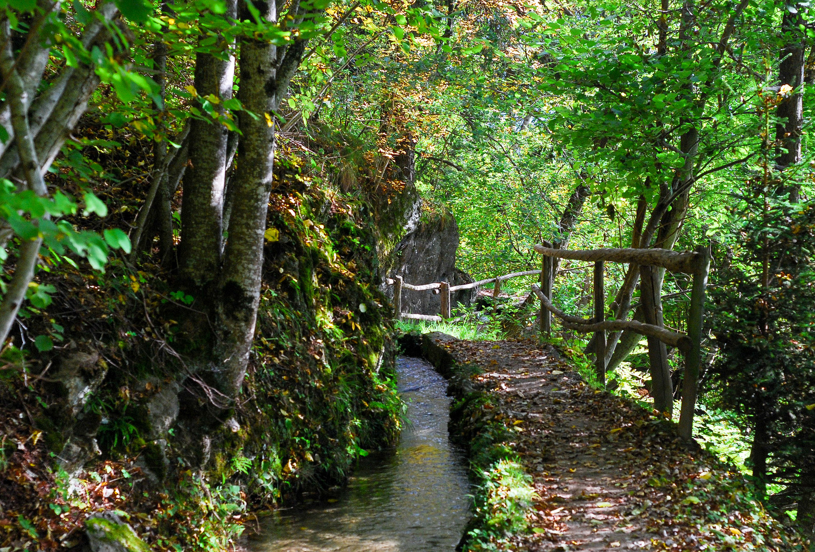 der Kuenser Waalweg im Herbst