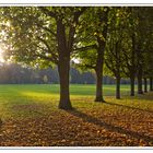 Der Künstler Herbst zieht ins Land