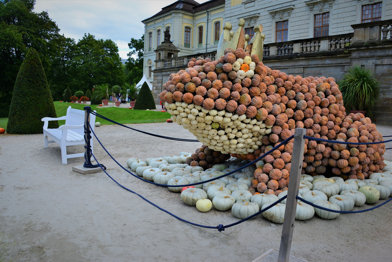 Der Kürbis - Froschkönig 