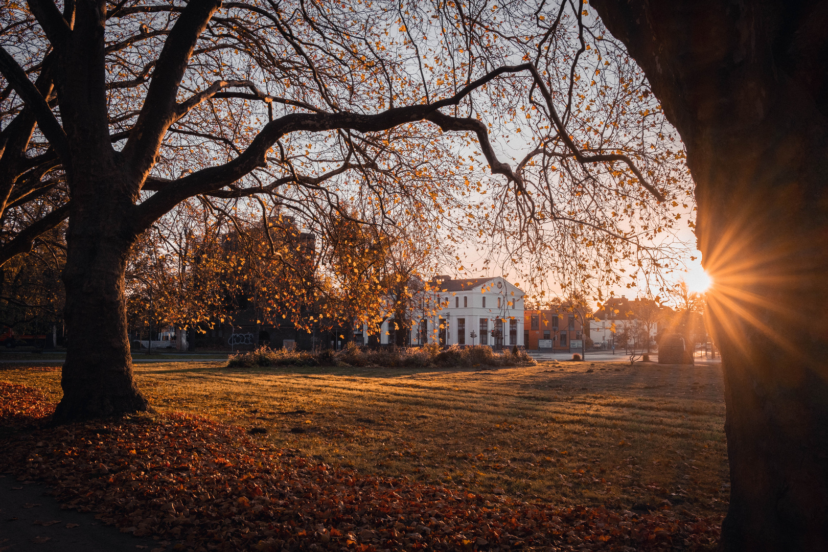 Der Kurpark in Hamm