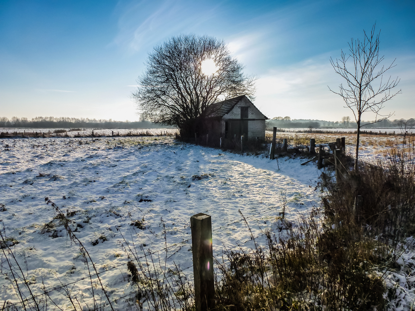 der kurze Winter