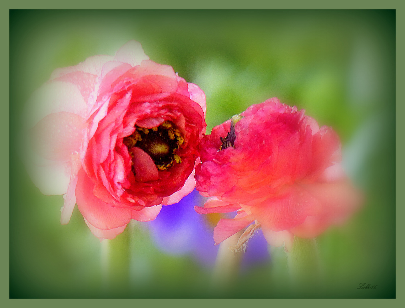 Der Kuss Foto & Bild naturkreativ, aufnahmetechniken, natur fine