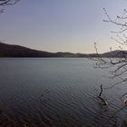 Der Laacher See