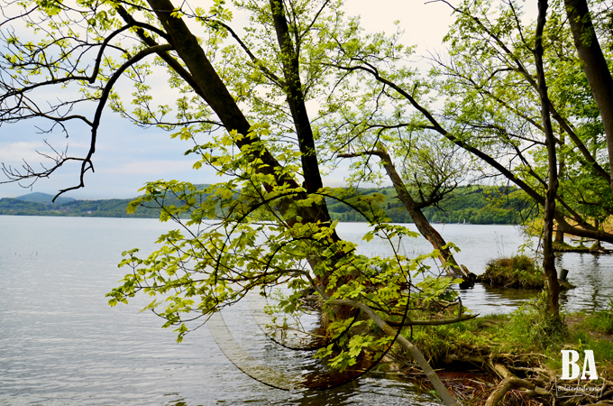 Der Laacher See im Kreis Ahrweiler