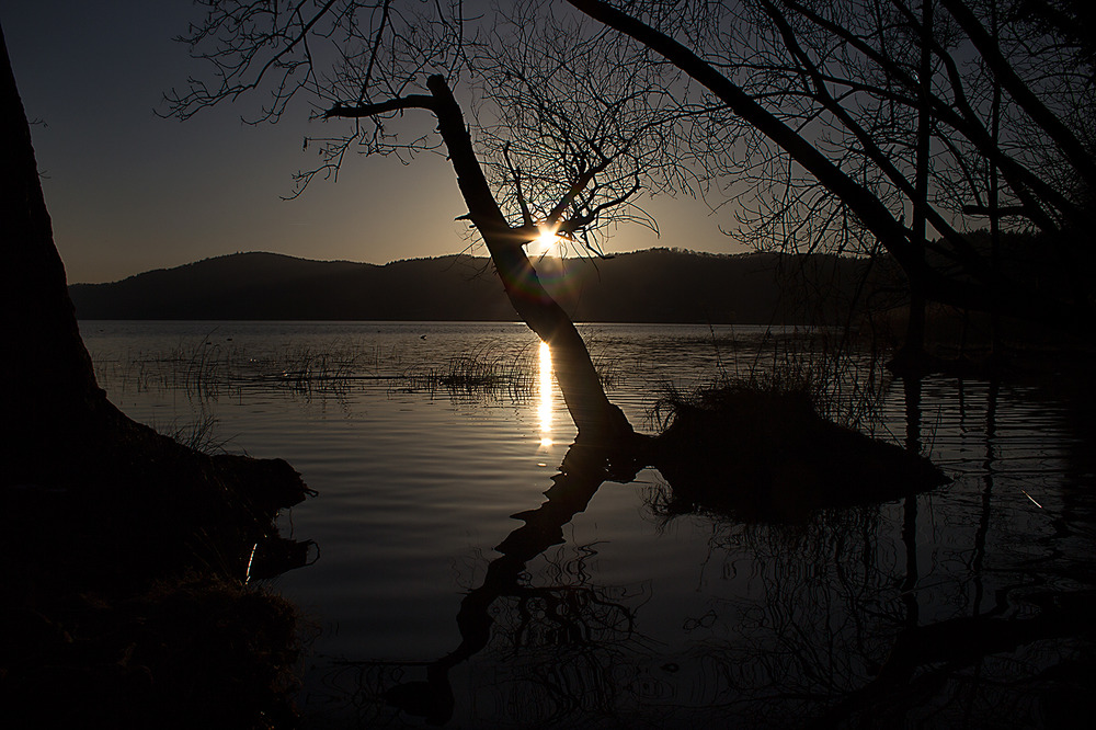 Der Laacher See IV