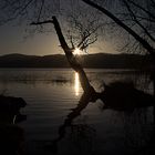 Der Laacher See IV