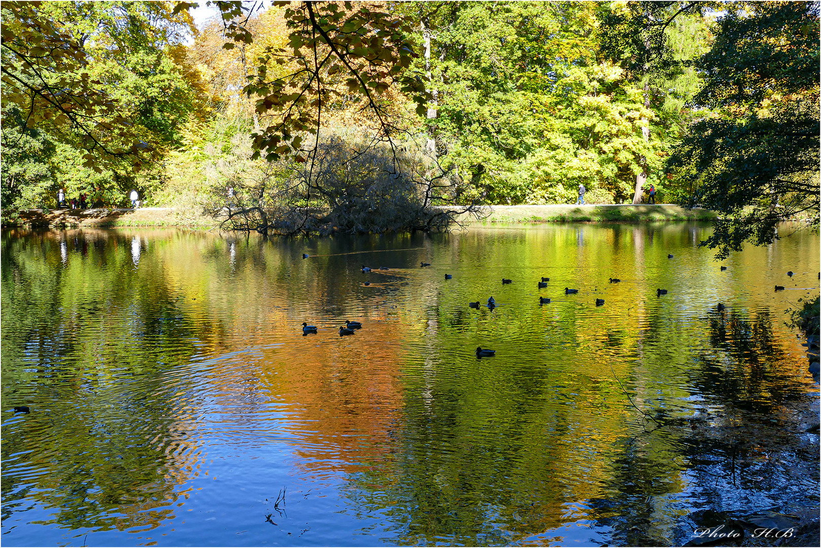 Der Lac im Herst