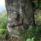 Der lachende Baum