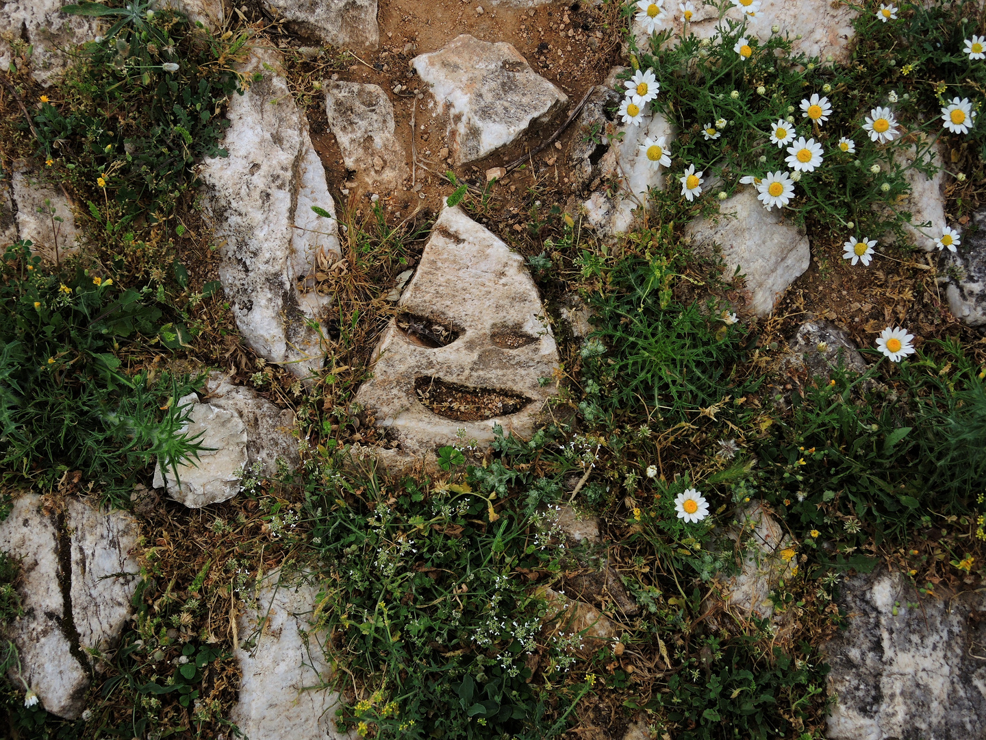 Der lachende Stein