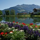 der "Lader-Weiher" auf ca.1100m!