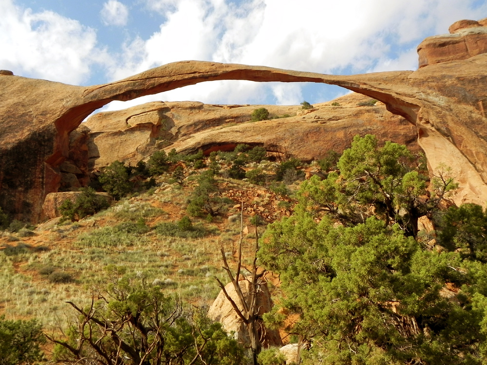 Der längste natürliche Sandsteinbogen im Arches N.P.