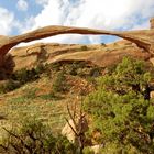 Der längste natürliche Sandsteinbogen im Arches N.P.