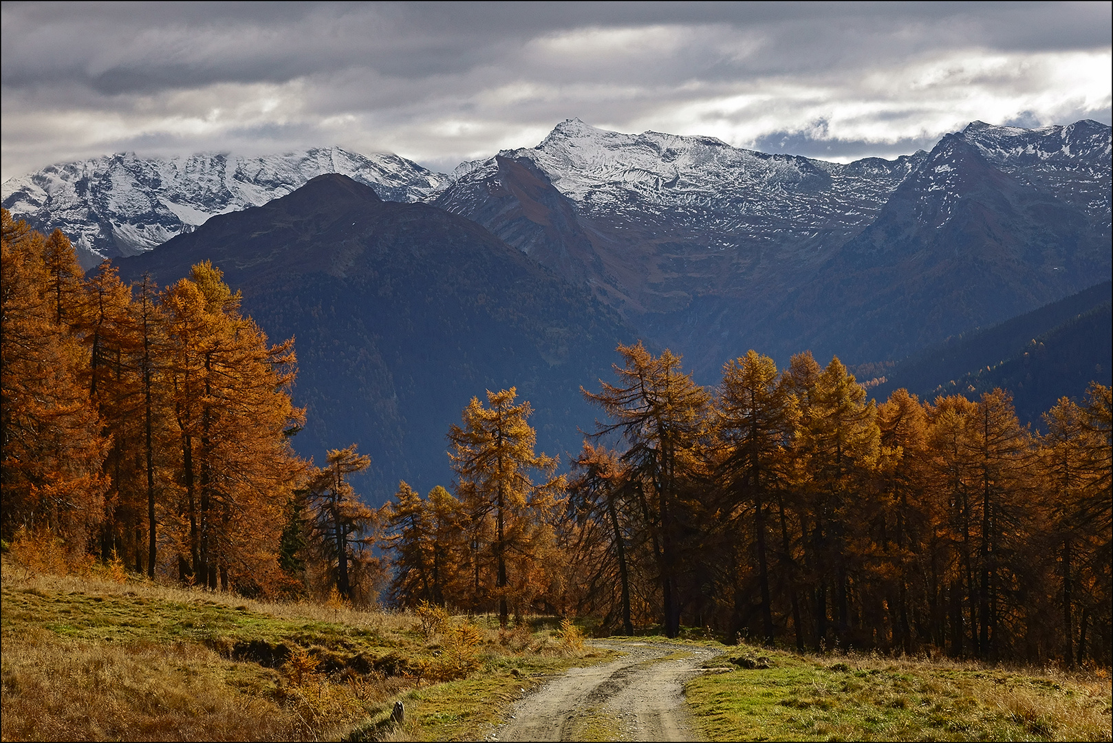 der Lärchenwaldweg in Nößlach