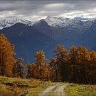 der Lärchenwaldweg in Nößlach