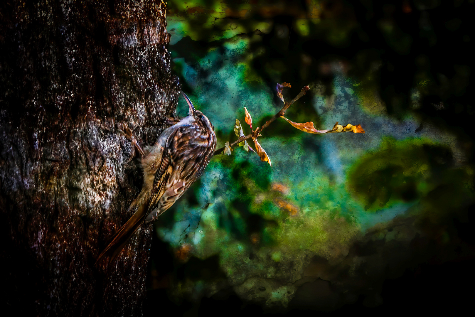 "DER LÄUFER AM BAUM"