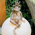 Der Laga-Frosch