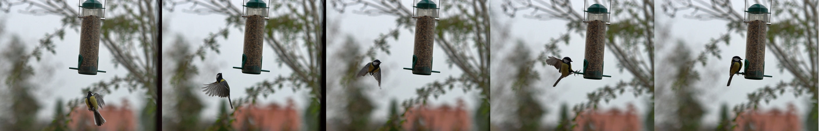 Der Landeanflug (Schiebebild)