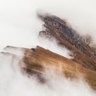 Der Landschaftsfotograf.