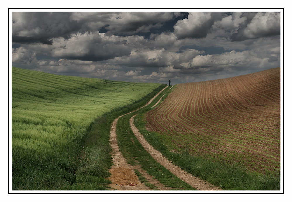 Der Landschaftsfotograf