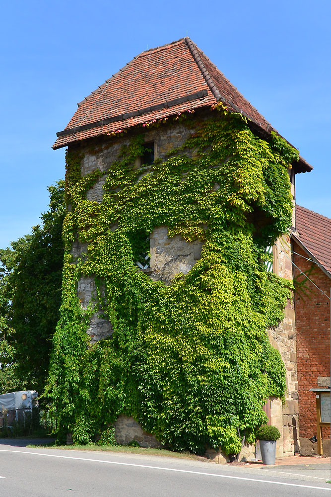 Der Landturm bei Laufffen am Neckar