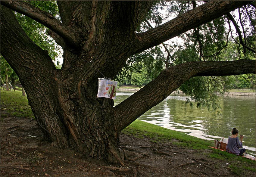 Der Landwehrkanal und seine Bäume 2