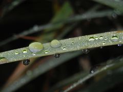 Der lang erwartete Regen ist da ...