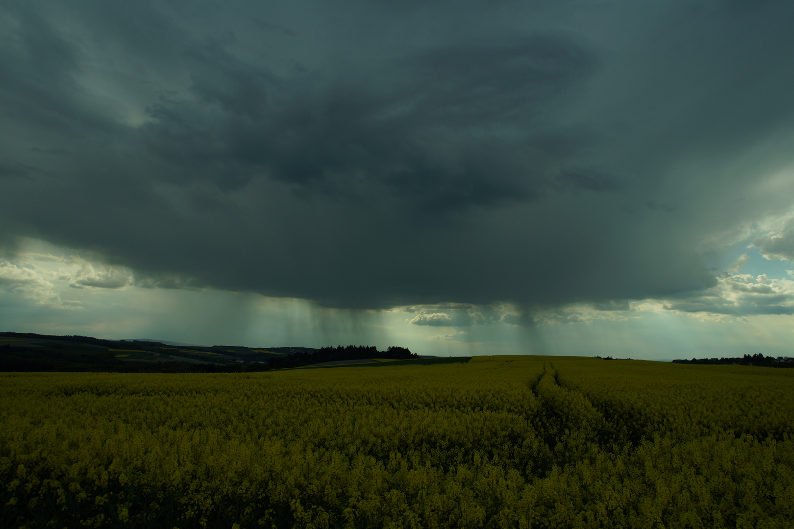 Der lang erwartete Regen kommt....