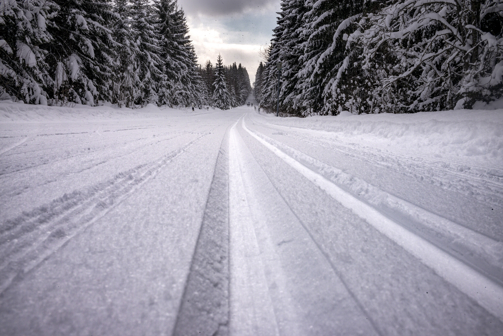 Der lange Lauf....