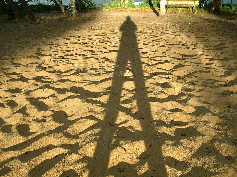 Der lange Schatten