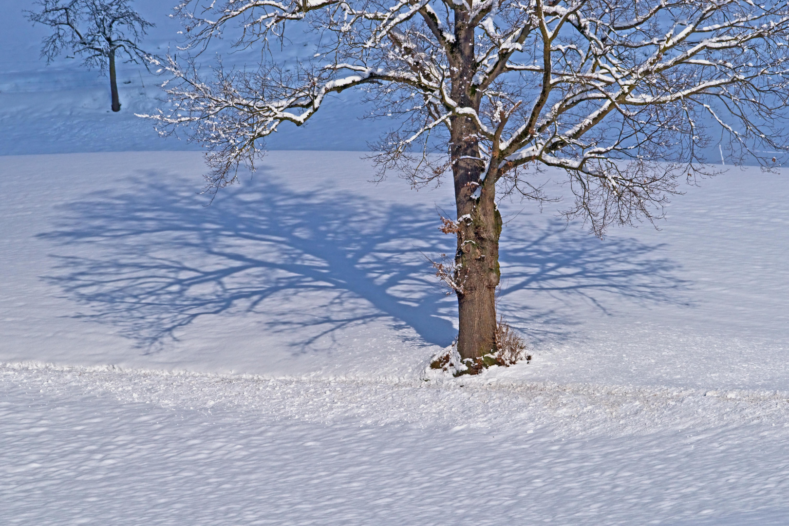 Der lange Schatten