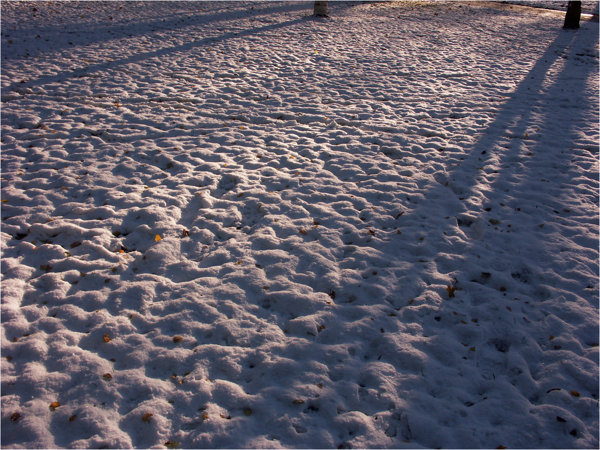 der lange Schatten des Winters