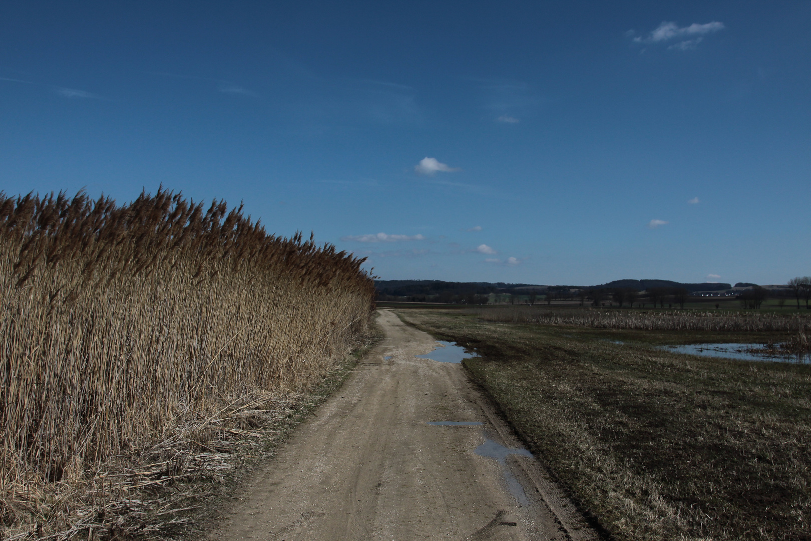 Der lange Weg