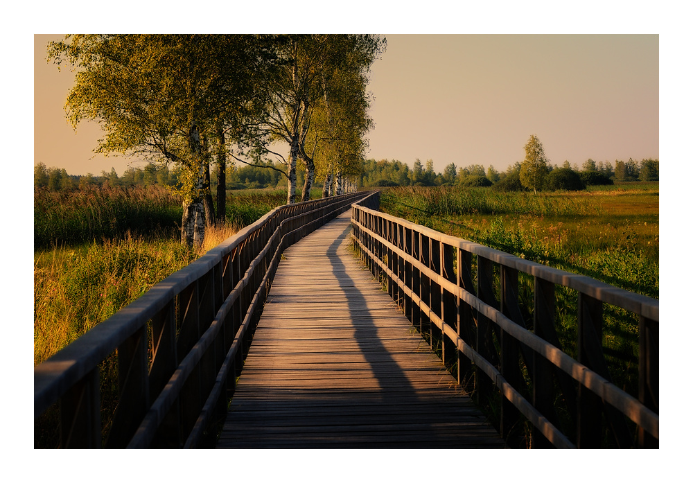 Der lange Weg