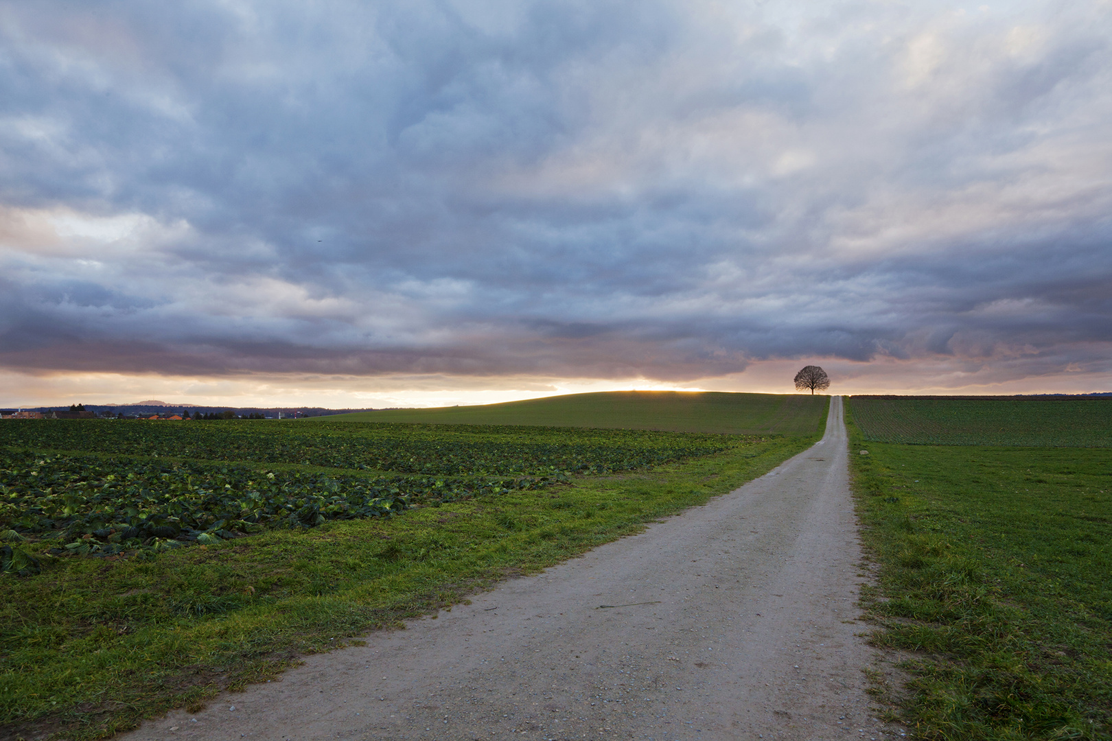 Der lange Weg