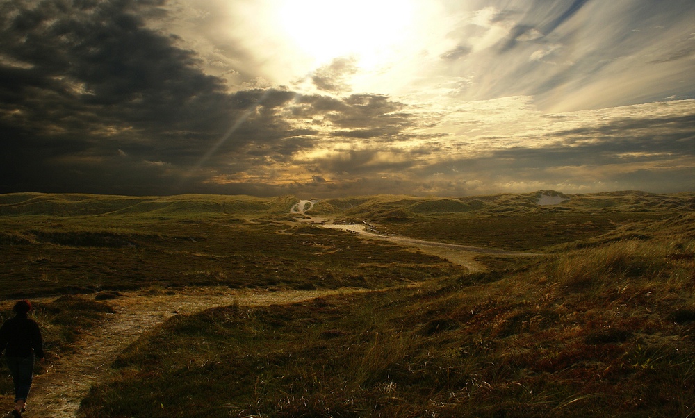 Der lange Weg